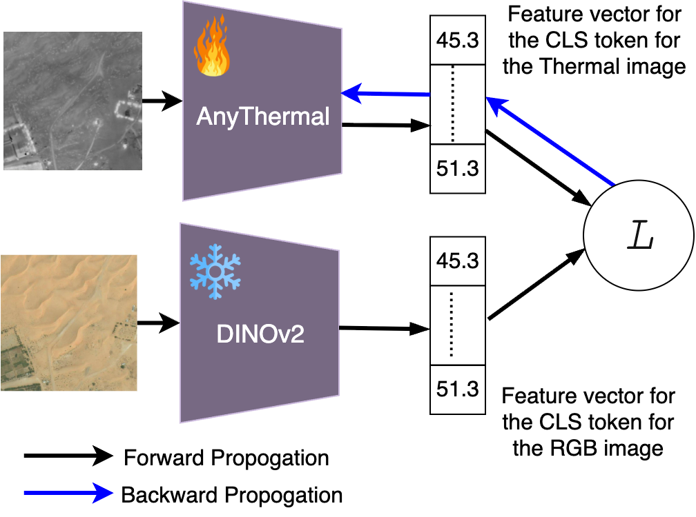 AnyThermal distillation overview
